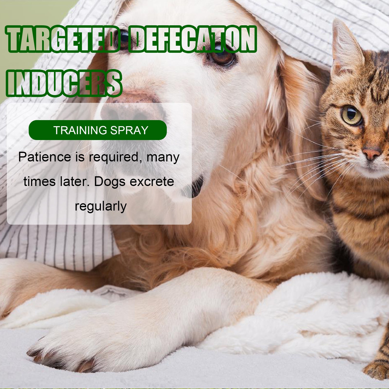 Pet Location-Based Defecation Inducers, Pet Toilet Inducer Urine Locator Toilet Training Agent