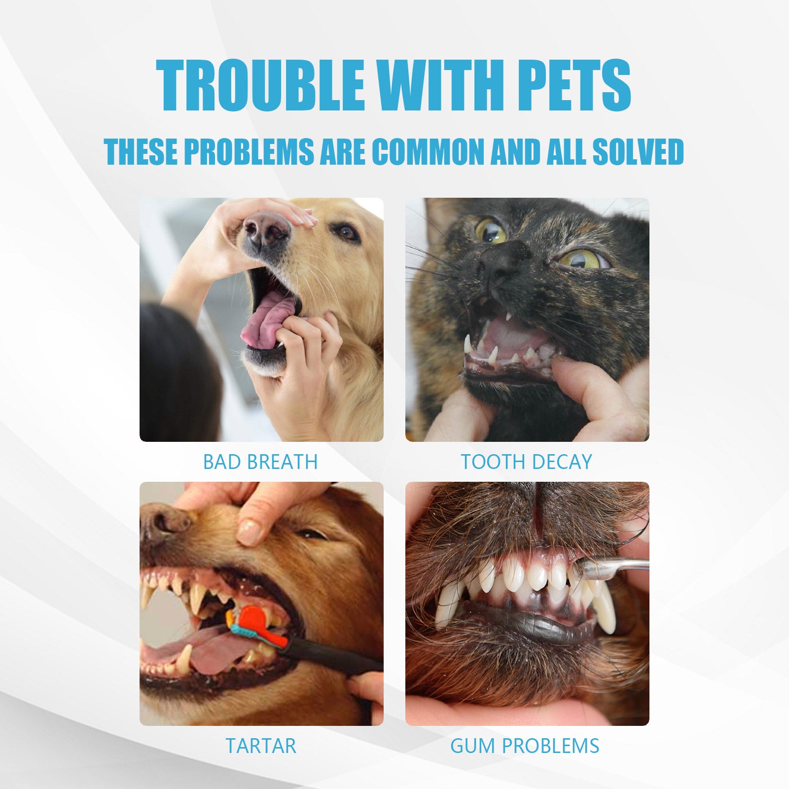 Pet Toothpaste, Fresh Breath Bad Breath Tartar Clean Dog And Cat Oral Care Edible Toothpaste