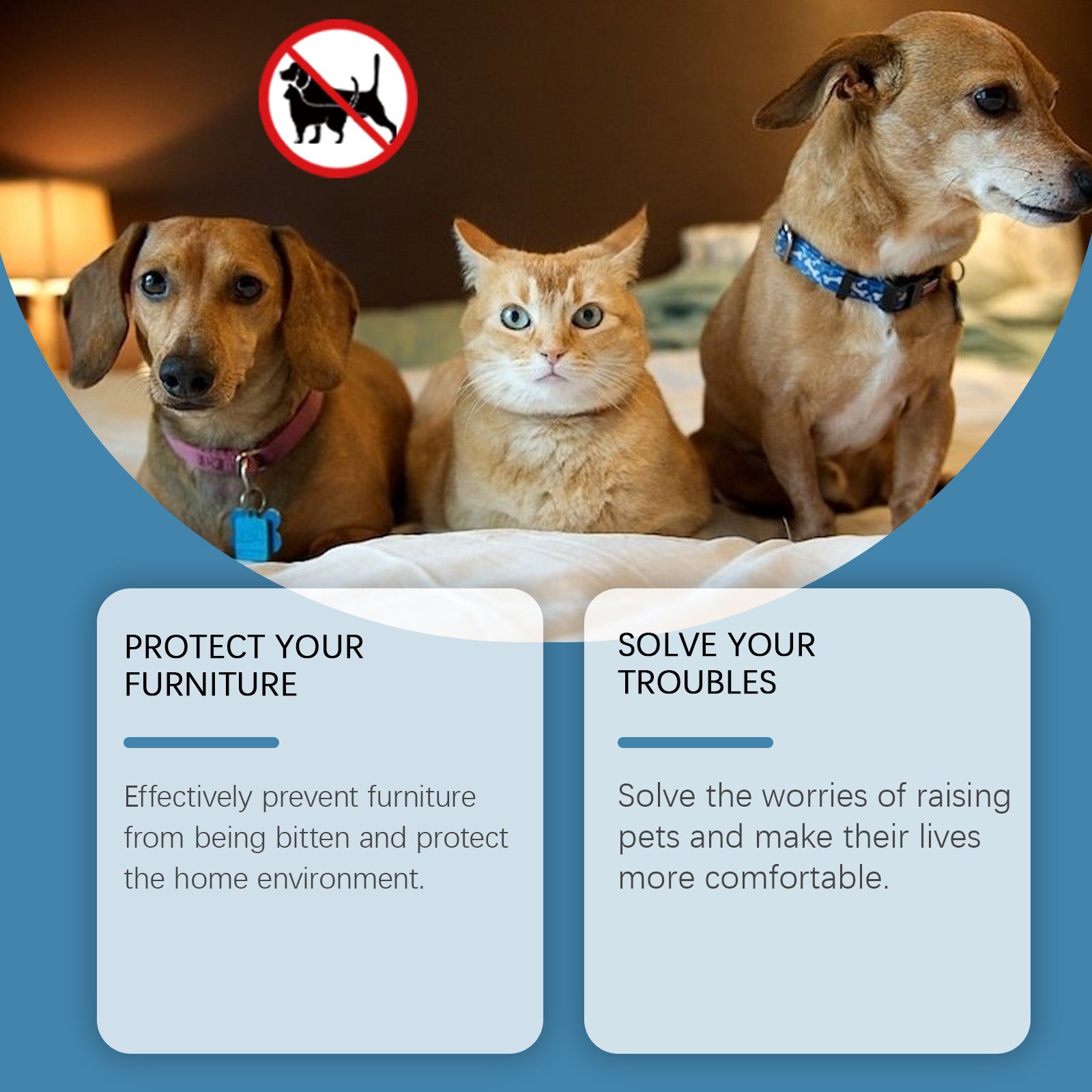 Jue-Fish Pet Repellent Cream, Pet Repellent Cream Cat And Dog Bite Disorderly Urine Bed Exclusion Zone Repellent Cream