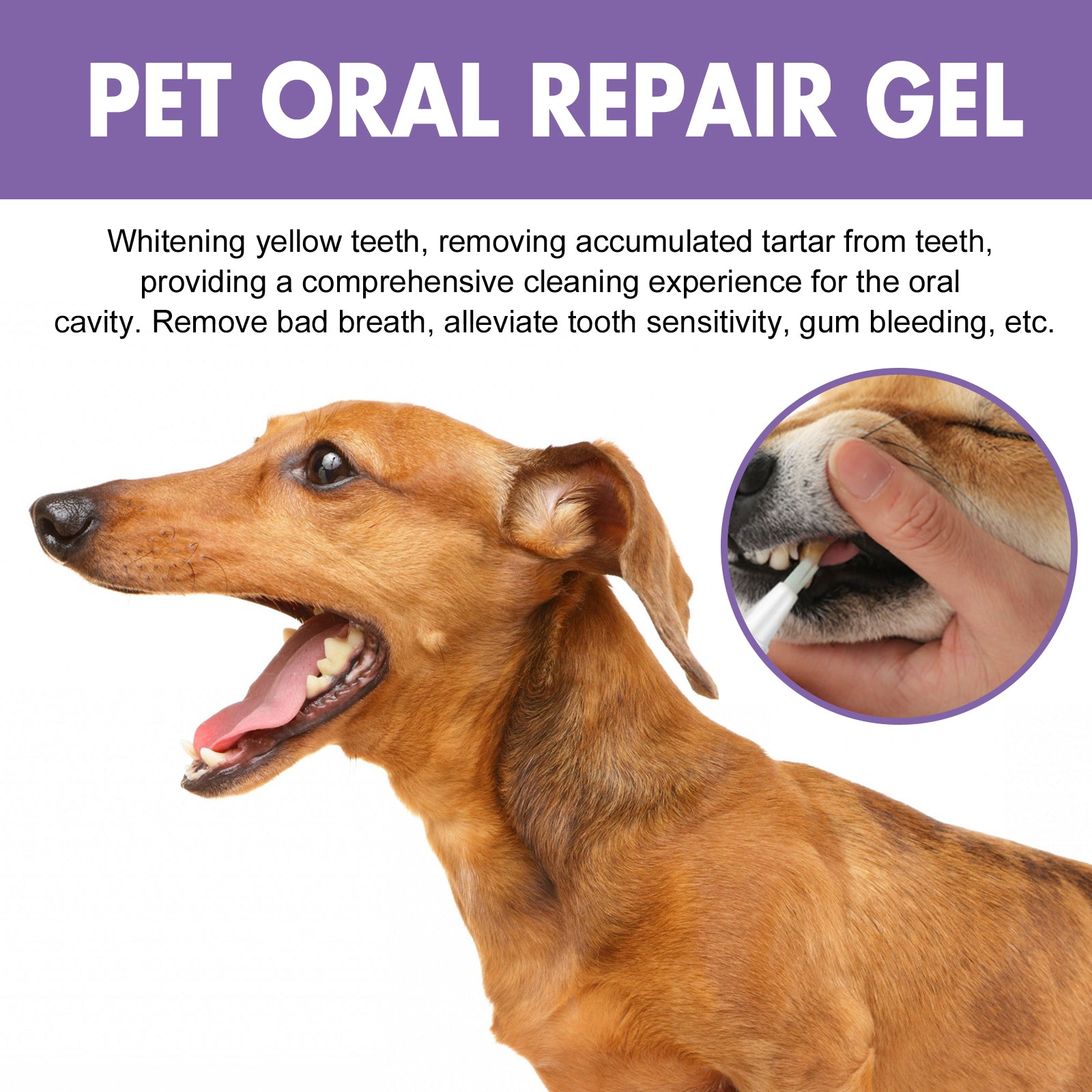 Yegbong Pet Oral Care Gel (1pcs) deeply cleans dog and cat teeth stains and provides oral care