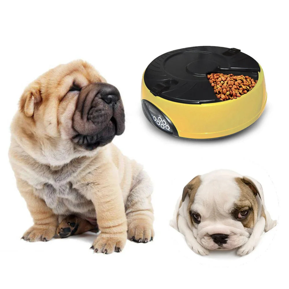 6 Meal Pet automatic feeding machine