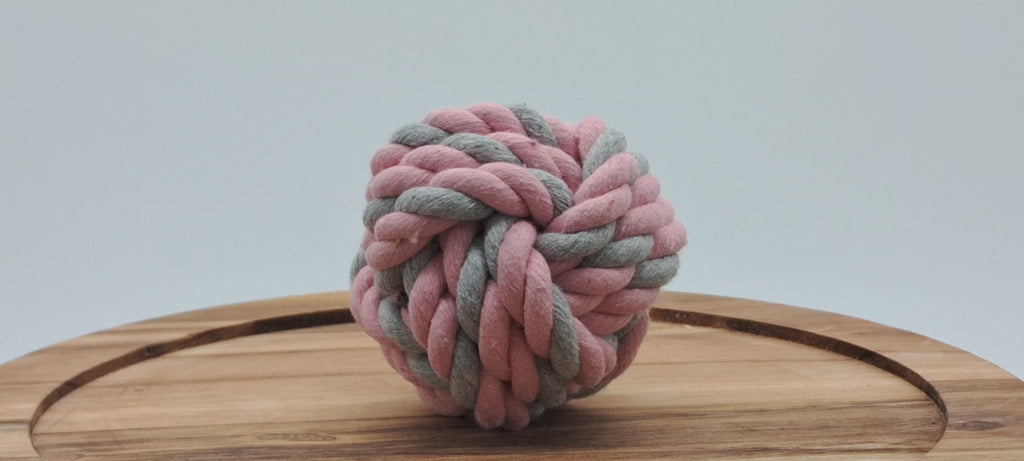 Fetch Ball