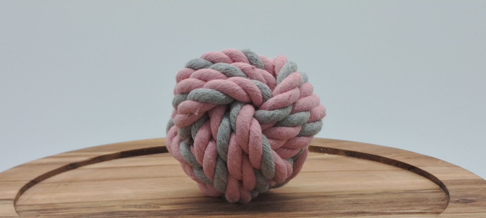 Fetch Ball
