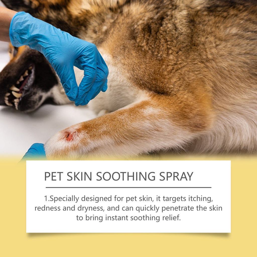 YEGBONG Pet Skin Care Spray with gentle ingredients is an external care spray for pet skin discomfort